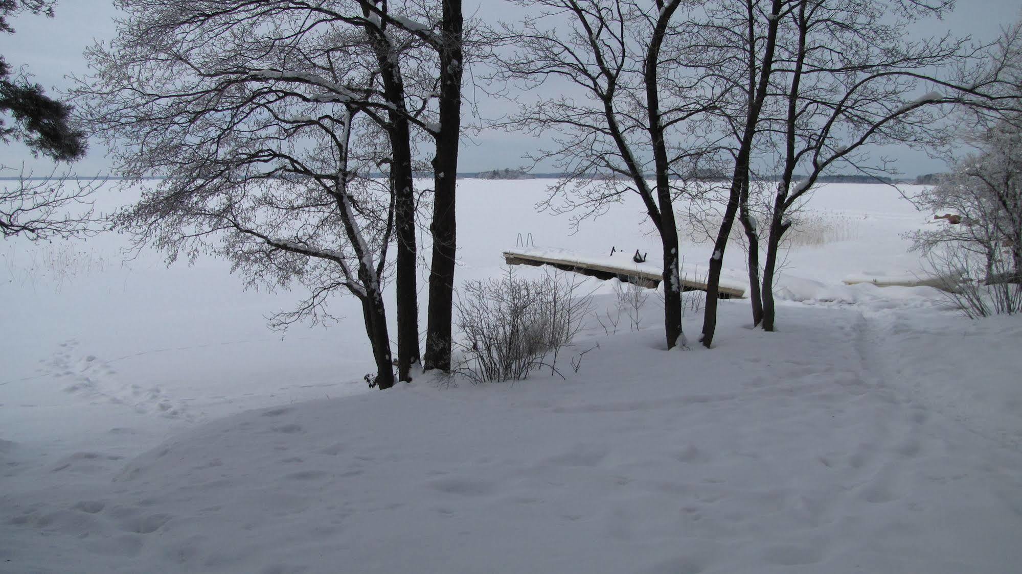 Skitunaes *